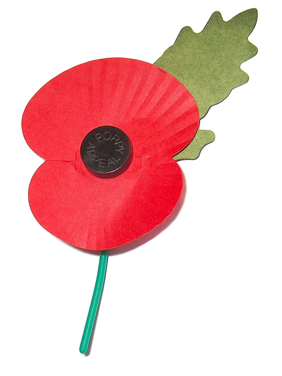 VV-EVENT-Library-events-Paper_Poppy.jpg