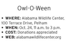 Owl-O-Ween.png