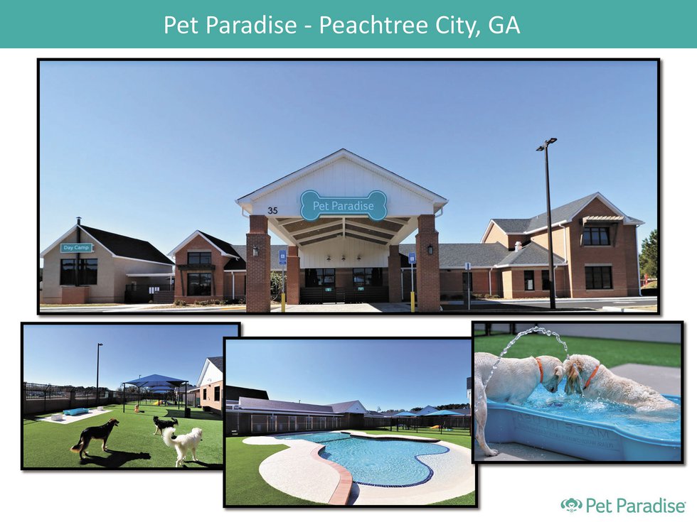 Pet Paradise