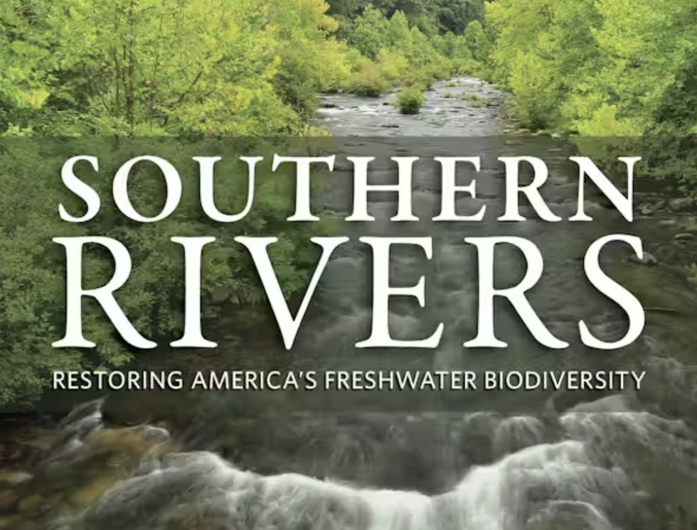 Southern Rivers.jpg