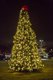 Vestavia Tree Lighting - 10.jpg